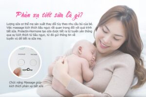 Phản xạ tiết sữa là gì